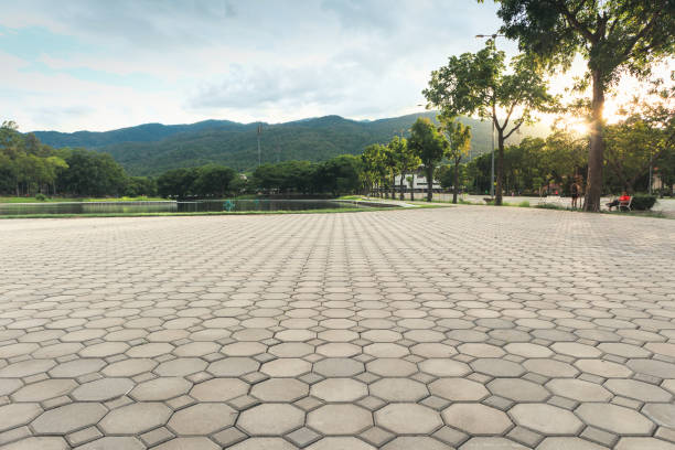 Best Concrete Paver Driveway  in Lake Kiowa, TX